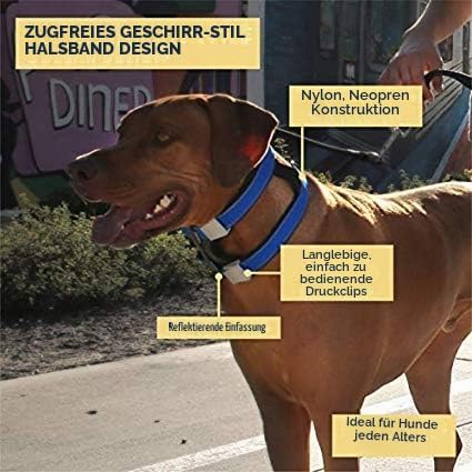 Cesar Millan Pack Leader Collar™ - Trainingshalsband des Hundeflüsterers Cesar Millan (Mittel, Grau)