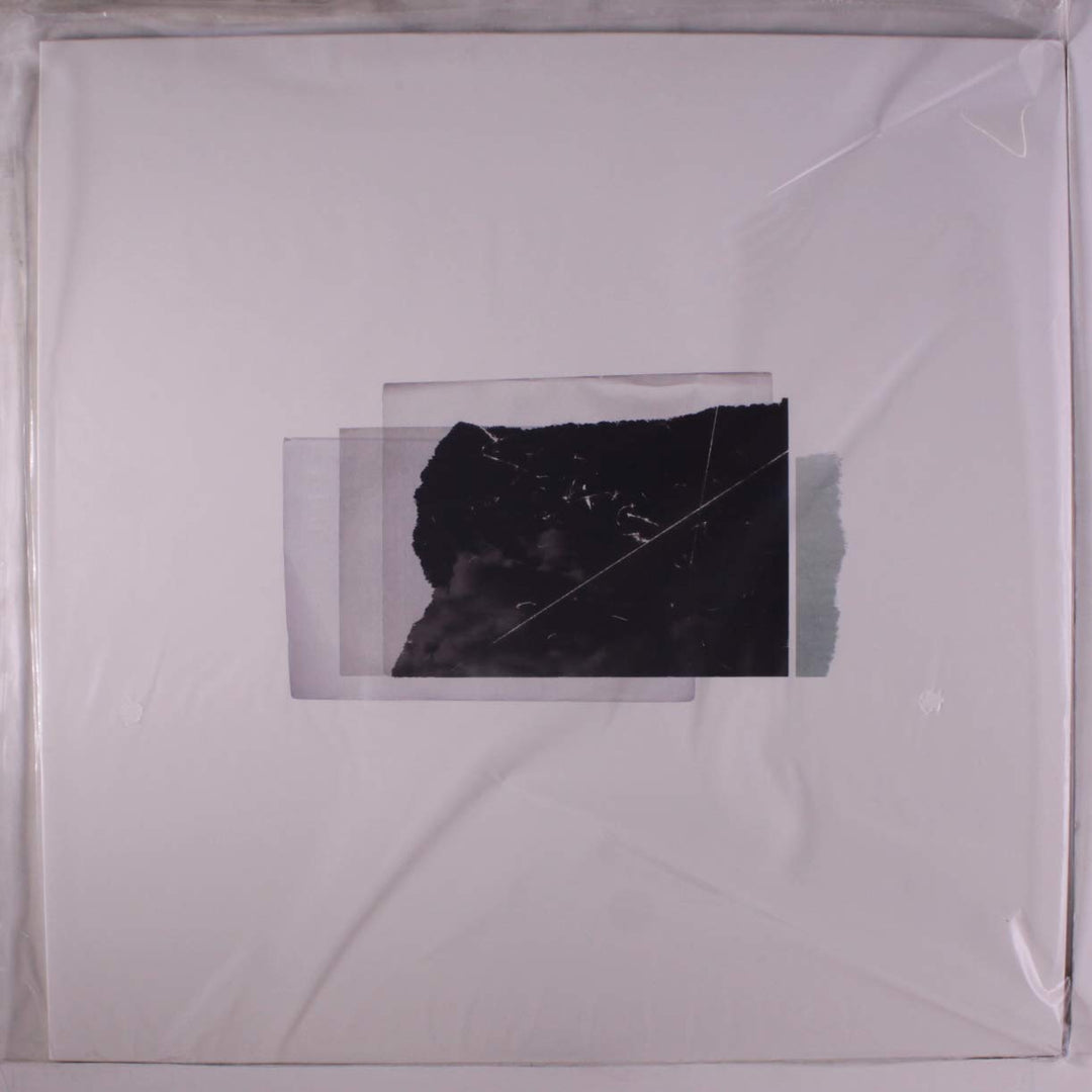 Essays in Idleness, Vinyl