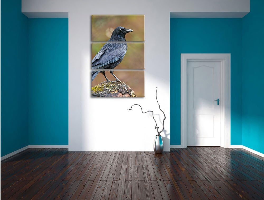 Pixxprint Krähe auf Baumstamm 3-Teiler Leinwandbild 120x80 Bild auf Leinwand