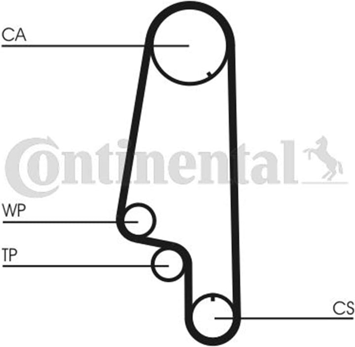 Contitech CT846WP4 Verteilerset + Wasserpumpe