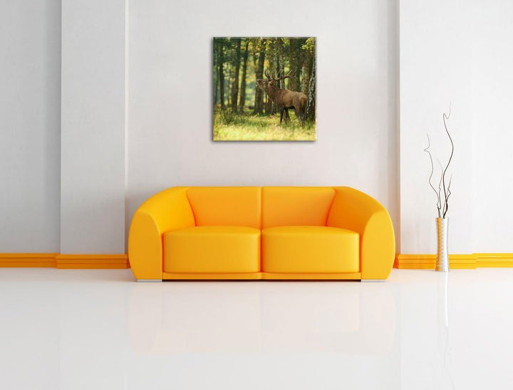 Pixxprint Hirsch im Wald, Format: 70x70 auf Leinwand, XXL riesige Bilder fertig gerahmt mit Keilrahm