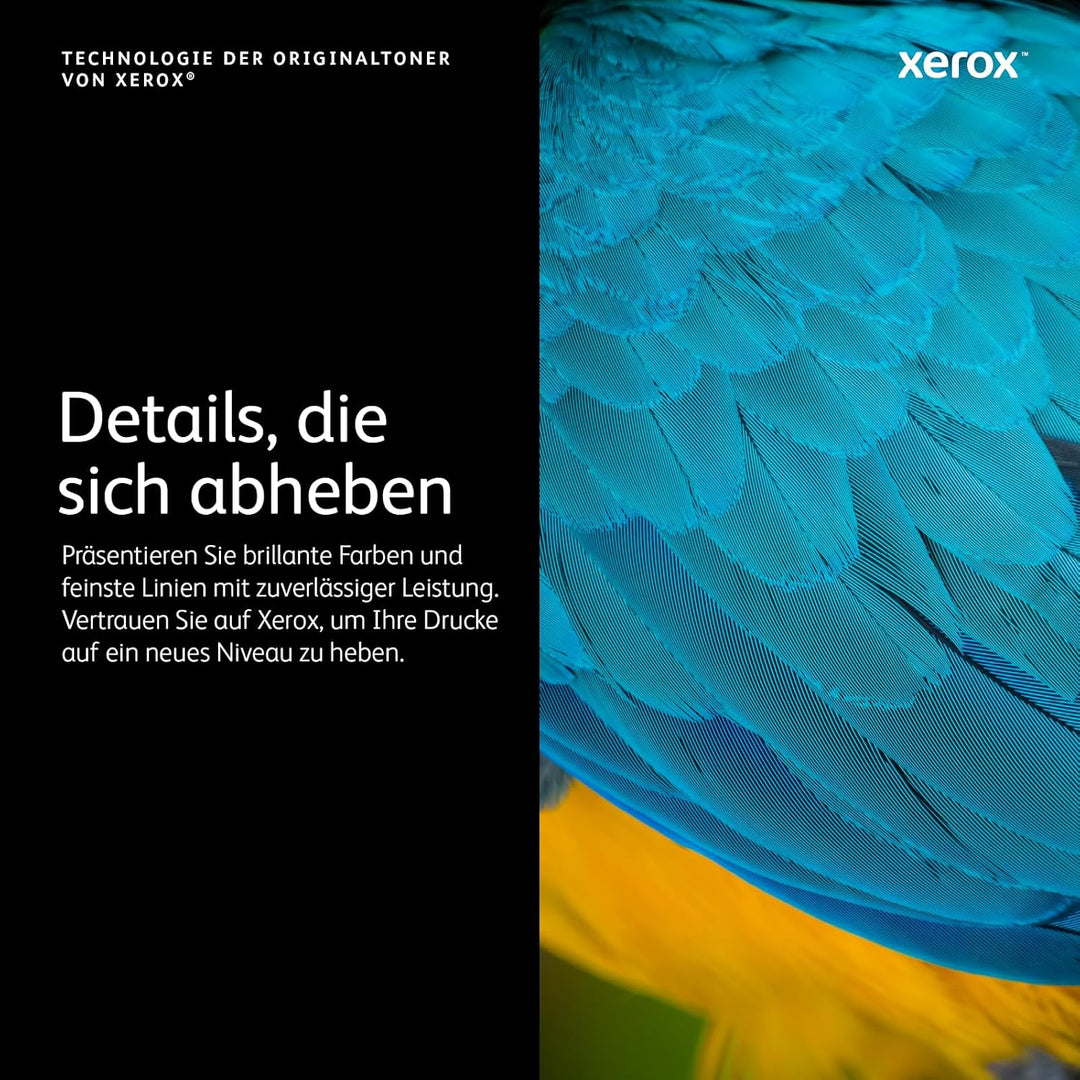 Xerox 106R03940 VersaLink B600 / B605 / B610 / B615 (10.300 Seiten) Standard-Tonerkartusche Schwarz