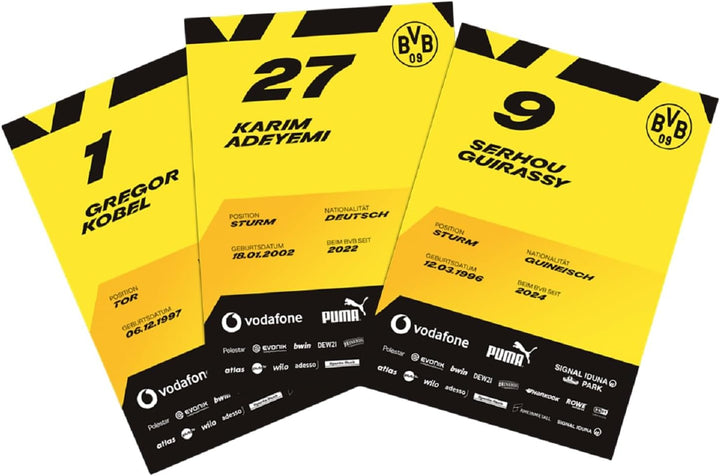 Borussia Dortmund BVB 09 BVB Autogrammkartenset -