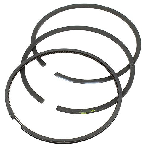 Segmente Briggs &amp; Stratton 392331