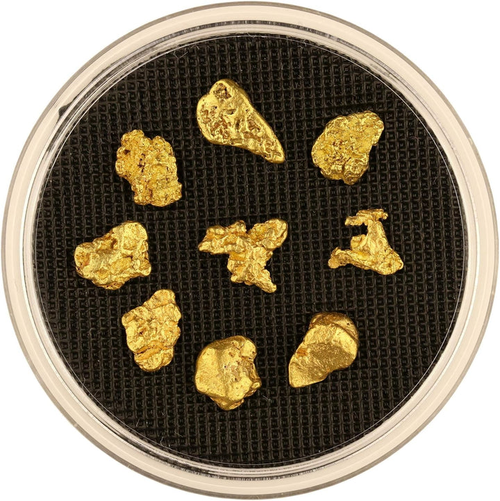 10 Gramm Echte XXL Goldnuggets aus Alaska mit Echtheitszertifikat in edler Münzdose, 10 Gramm