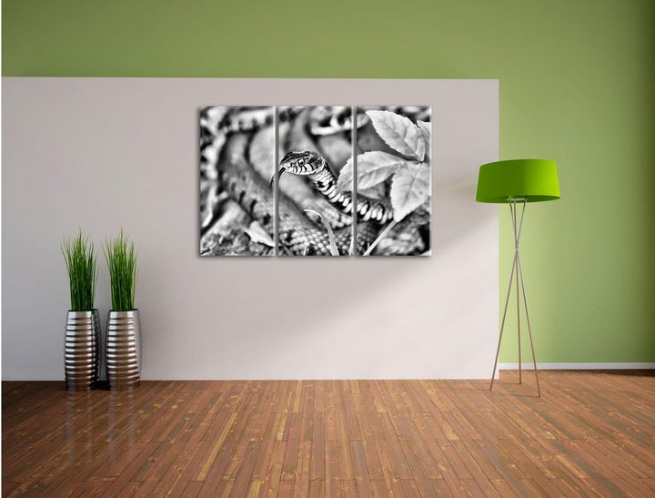 Pixxprint beeindruckende Schlange als Leinwandbild | Grösse: 3 Teilig (120x80) | Wandbild| Kunstdruc