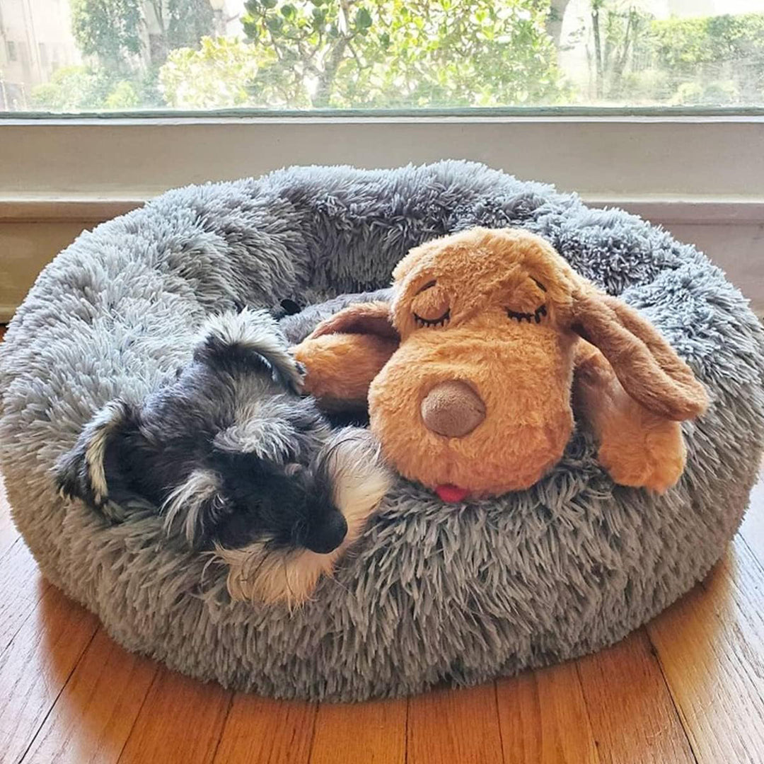 Smart Snuggle Puppy Willkommenspaket Girl, rose