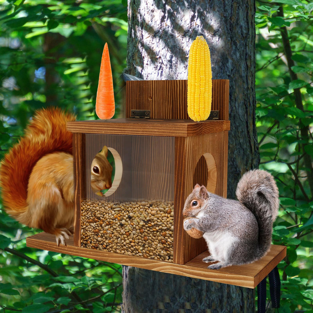 Eichhörnchen Futterhaus Wetterfes mit Quadratisches Transparentes Fenster | Holz Eichhörnchenhaus Ei