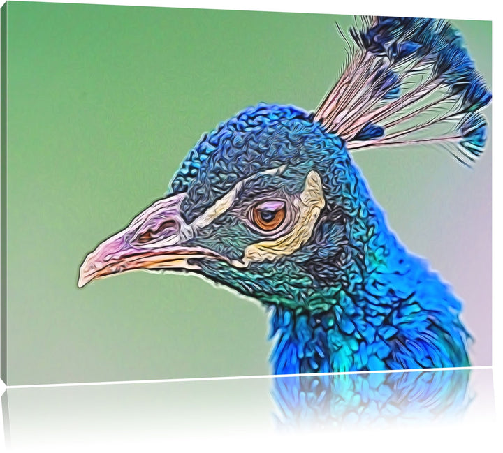 schöner farbenfroher Pfau Deluxe Format: 100x70 cm auf Leinwand, XXL riesige Bilder fertig gerahmt m