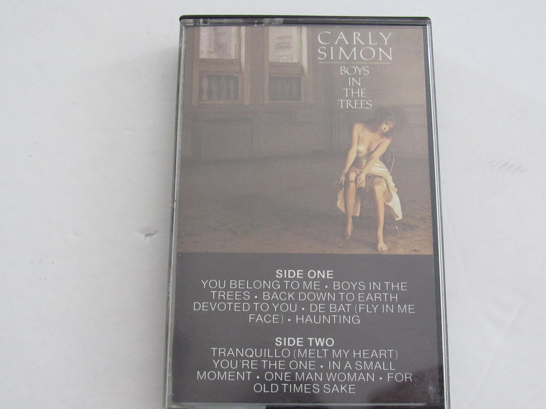 Boys in the Trees, Audio, Kassette