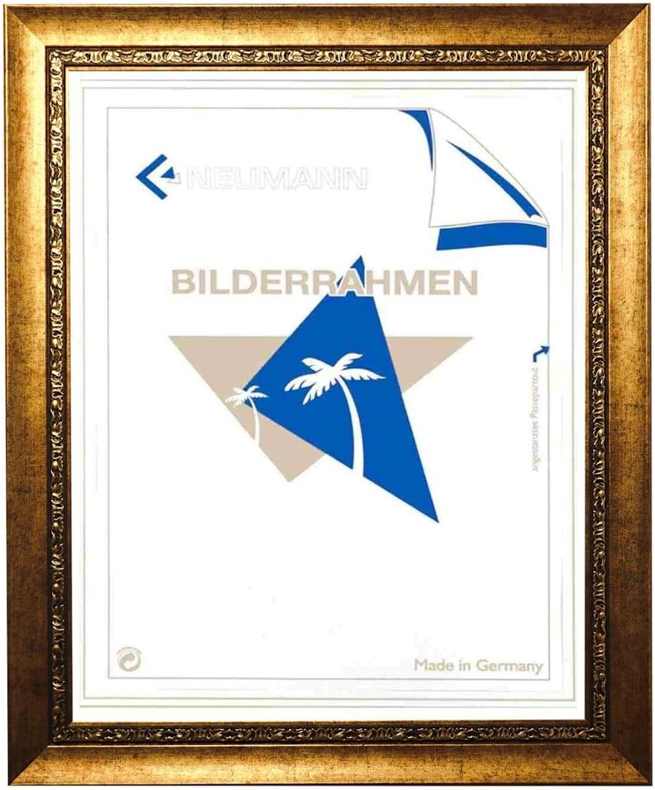 Neumann Bilderrahmen Barockrahmen Gold verziert, Serie 370 - Zuschnitt, 50 x 70 cm Zuschnitt 50x70 c