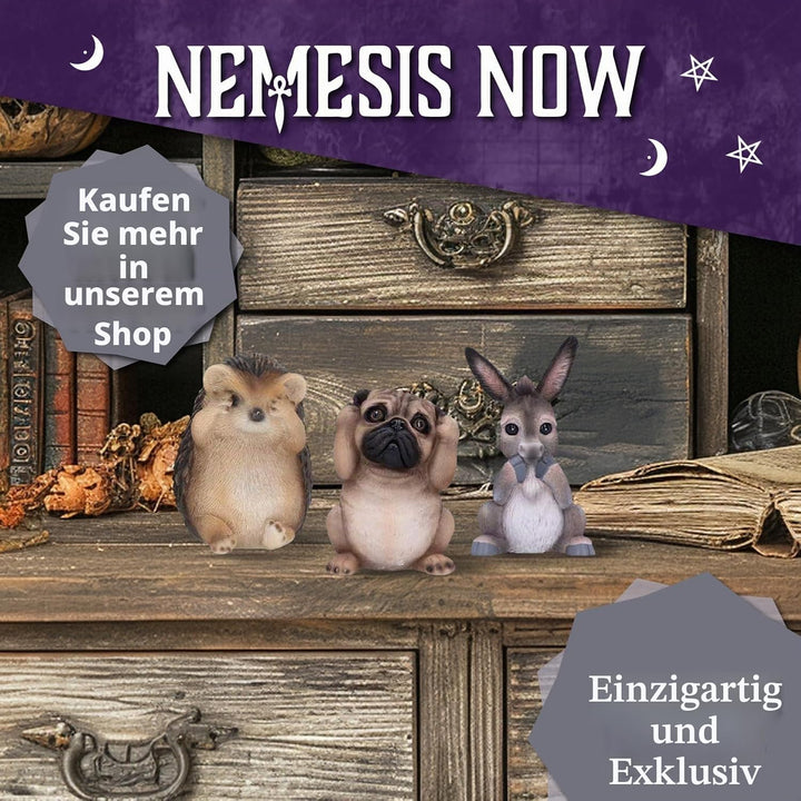 Nemesis Now Figur DREI weise Eulen, 8 cm, Weiss