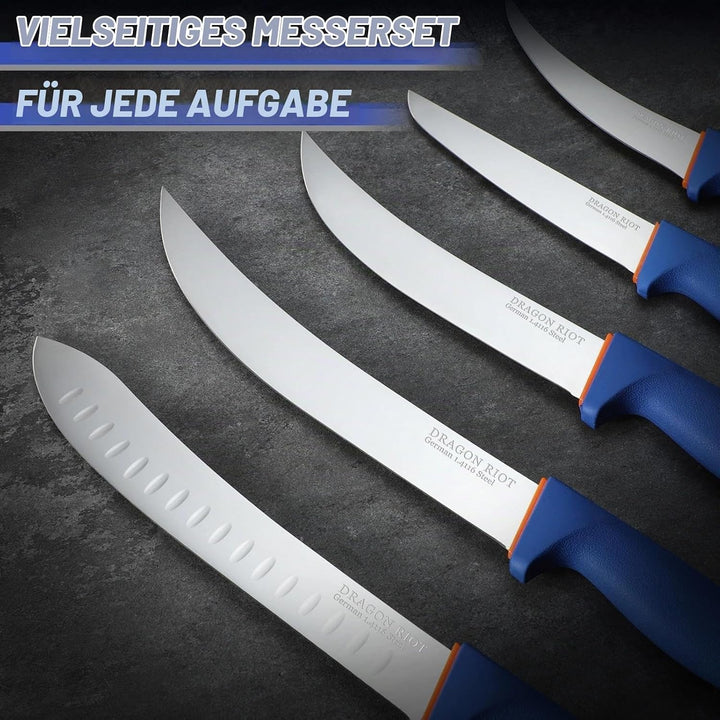 DRAGON RIOT Profi Metzgermesser Set 6-teilig mit Flexibler Klinge