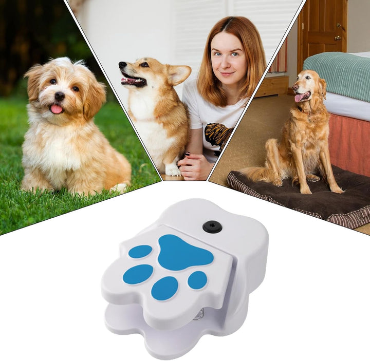 Wasserfontäne mit Pedal, Wasserspielzeug Hund, Hunde Trinkbrunnen, Pfotenaktivierter Trinkspender fü