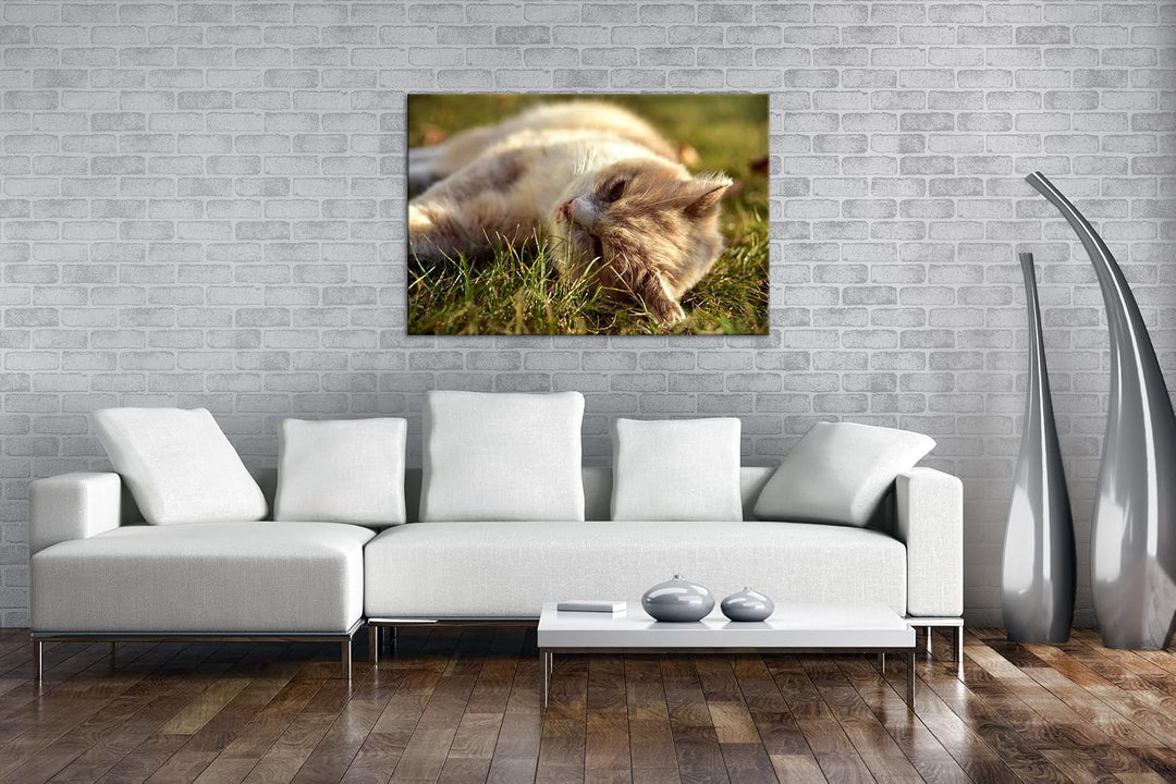 deyoli kleine Katze beim Entspannen Format: 120x80 als Leinwandbild, Motiv fertig gerahmt auf Echtho