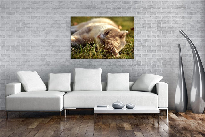 deyoli kleine Katze beim Entspannen Format: 120x80 als Leinwandbild, Motiv fertig gerahmt auf Echtho