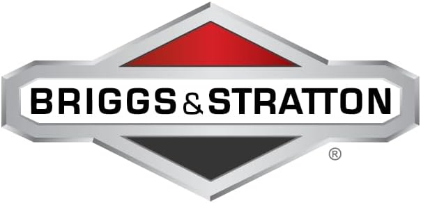 Briggs &amp; Stratton 398182 Ölpflege-Set