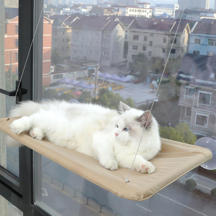 Katzen Hängematte Fensters, Katze Fensters Barsch Mits 4 Starken Saugnäpfen Platz Sparende Katzen Hä