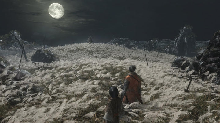 Sekiro Shadows Die Twice (PS4) - Imported Item