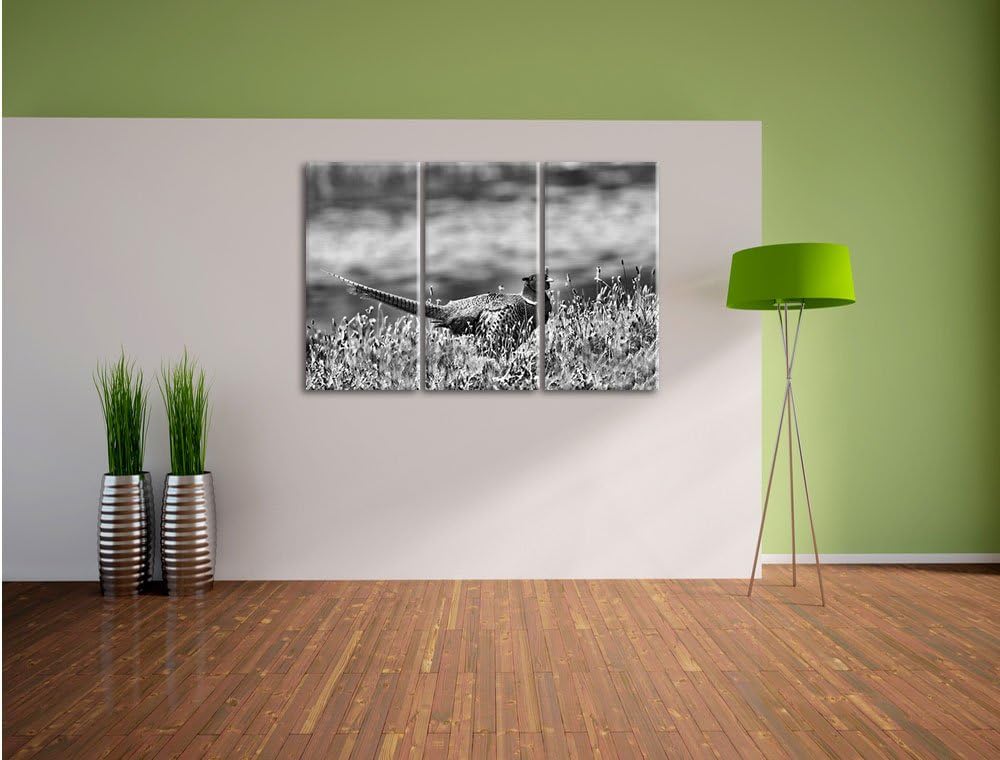 Pixxprint Fasan auf Frühlingswiese als Leinwandbild/Grösse: 3 Teilig (120x80 cm) cm/Wandbild/Kunstdr