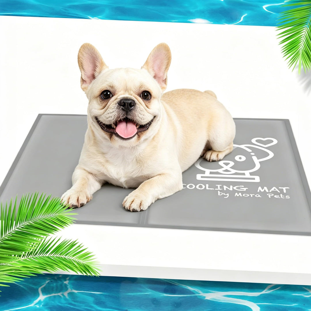 Pawtasy Kühlmatte Hunde Katze Kühldecke Sommer Kühlkissen mit Ungiftiges Gel für Klein Haustiere Hun