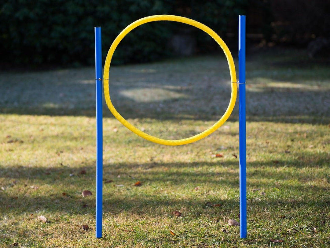 Agility Set für Hunde, Slalomstangen, Hürde und Jumpring, Hundetraining für Zuhause, Hundesport