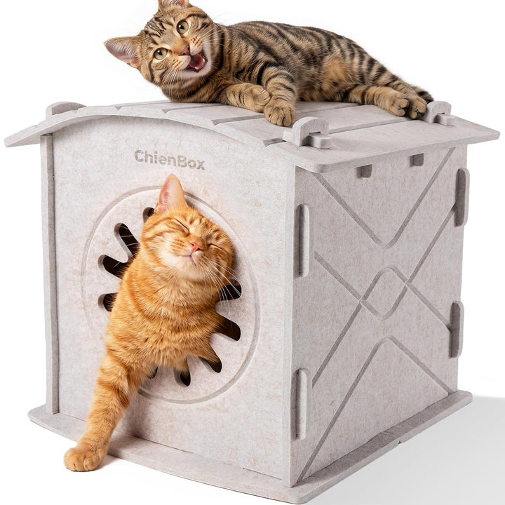Katzenhöhle Filz: Gemütliches Katzenhaus Indoor, Katzenbett mit beruhigendem Kratzbogen, Robuste &amp; K