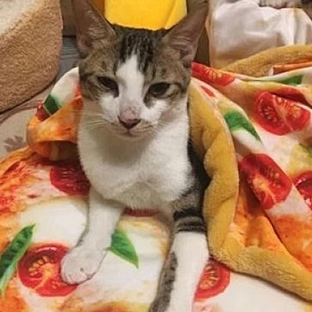 Komfort Pizza Katze Matte Weich Warm Hunde Schlaf Bett Matte Katze Decke Pochierte Ei Neuheit Schlaf