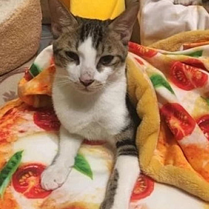 Komfort Pizza Katze Matte Weich Warm Hunde Schlaf Bett Matte Katze Decke Pochierte Ei Neuheit Schlaf