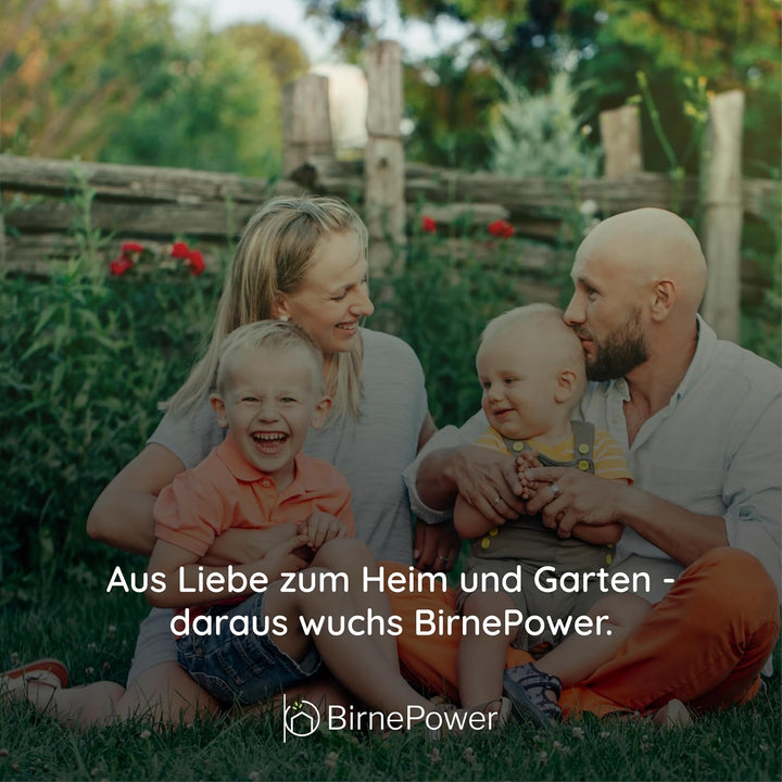 BirnePower Werkzeugwand KOR3 Set, 2 Panele mit 30 Stapelboxen, Wandregal für Werkstatt &amp; Garage, Sic