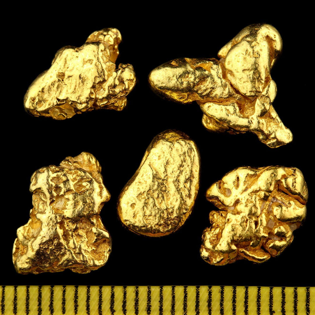 10 Gramm Echte XXL Goldnuggets aus Alaska mit Echtheitszertifikat in edler Münzdose, 10 Gramm