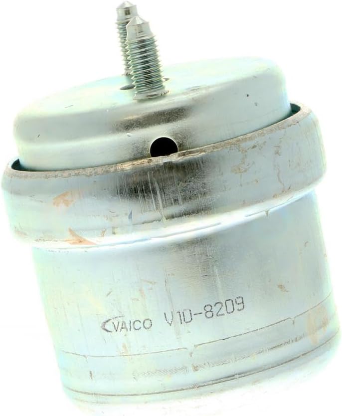 VAICO V10-8209 Lagerung, Motor