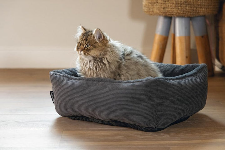 Beeztees Moza, Katzenbett, Plusch, Anthrazit, 48X37X15 cm Anthrazit 48X37X15 cm, Anthrazit 48X37X15