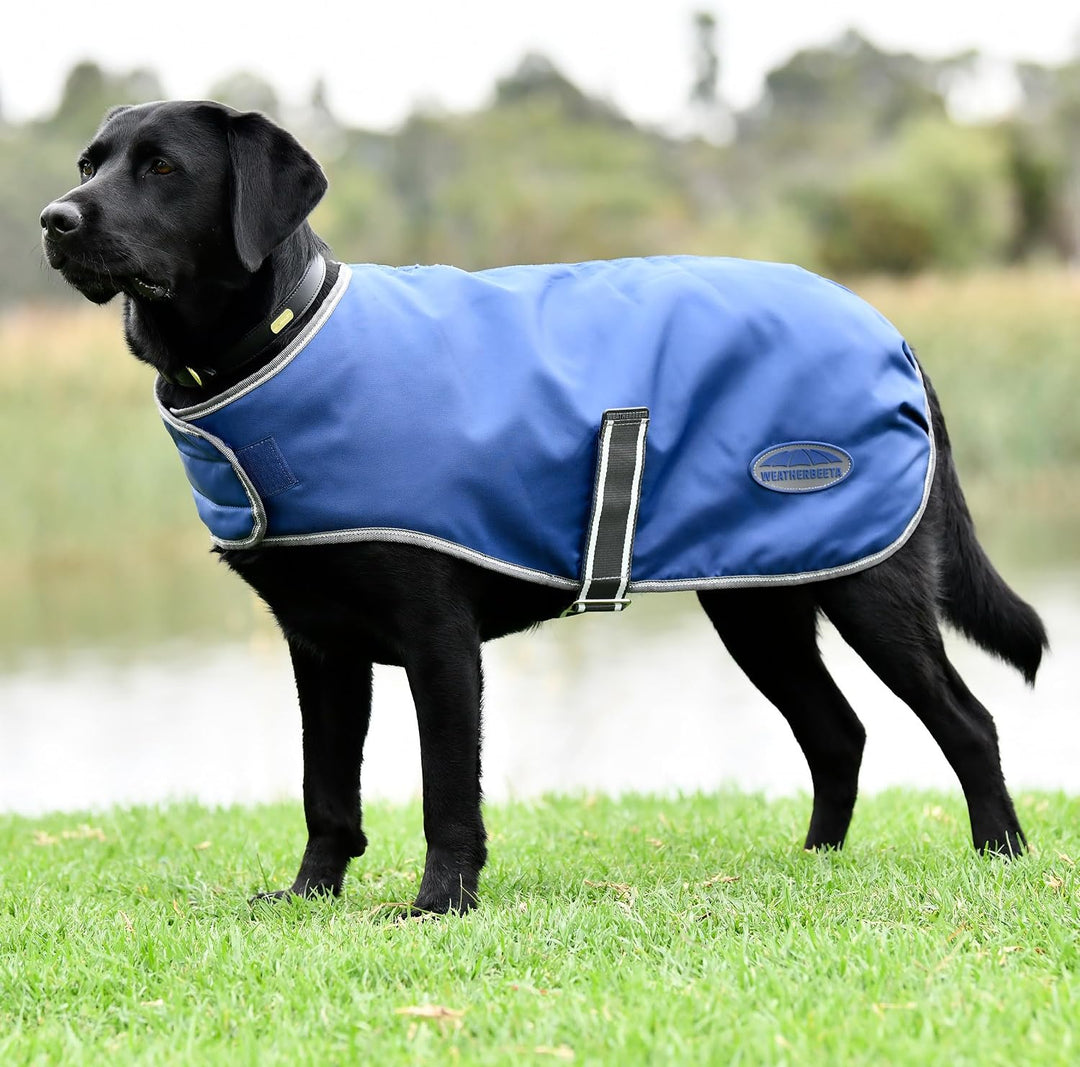 Weatherbeeta Comfitec Windjacke Frei Hundemantel - Dunkelblau/Weiss/Grau - 25cm, 25cm