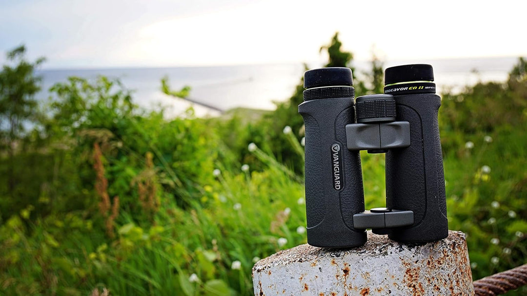 Vanguard Endeavor ED II Fernglas mit Premium Hoya ED Glas 10 x 42, 10 x 42