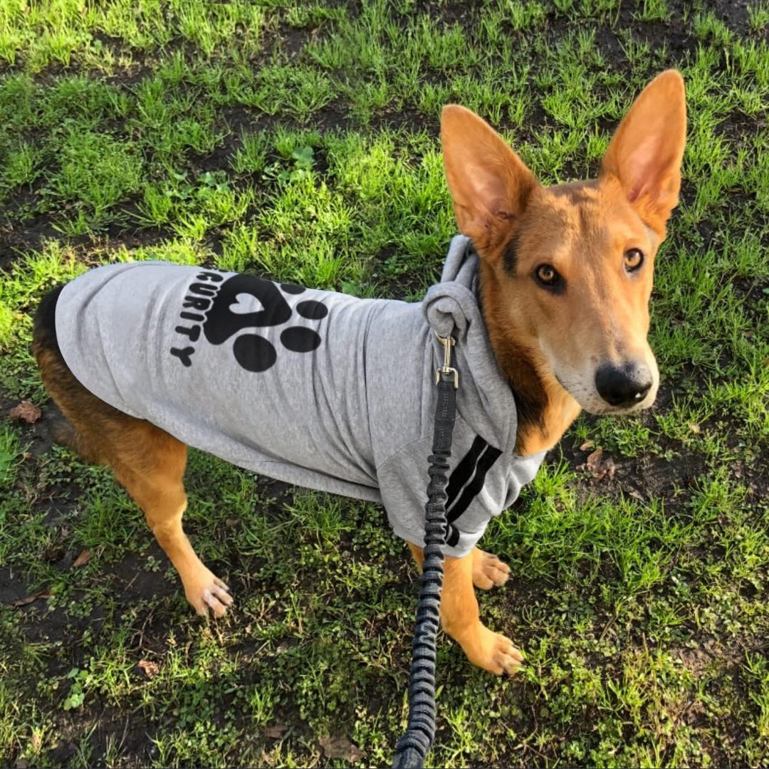 Hunde Hoodie Kleidung für Haustiere Hundepullover Weste Herbst Winter Hundepullover Welpenkostüme Mä