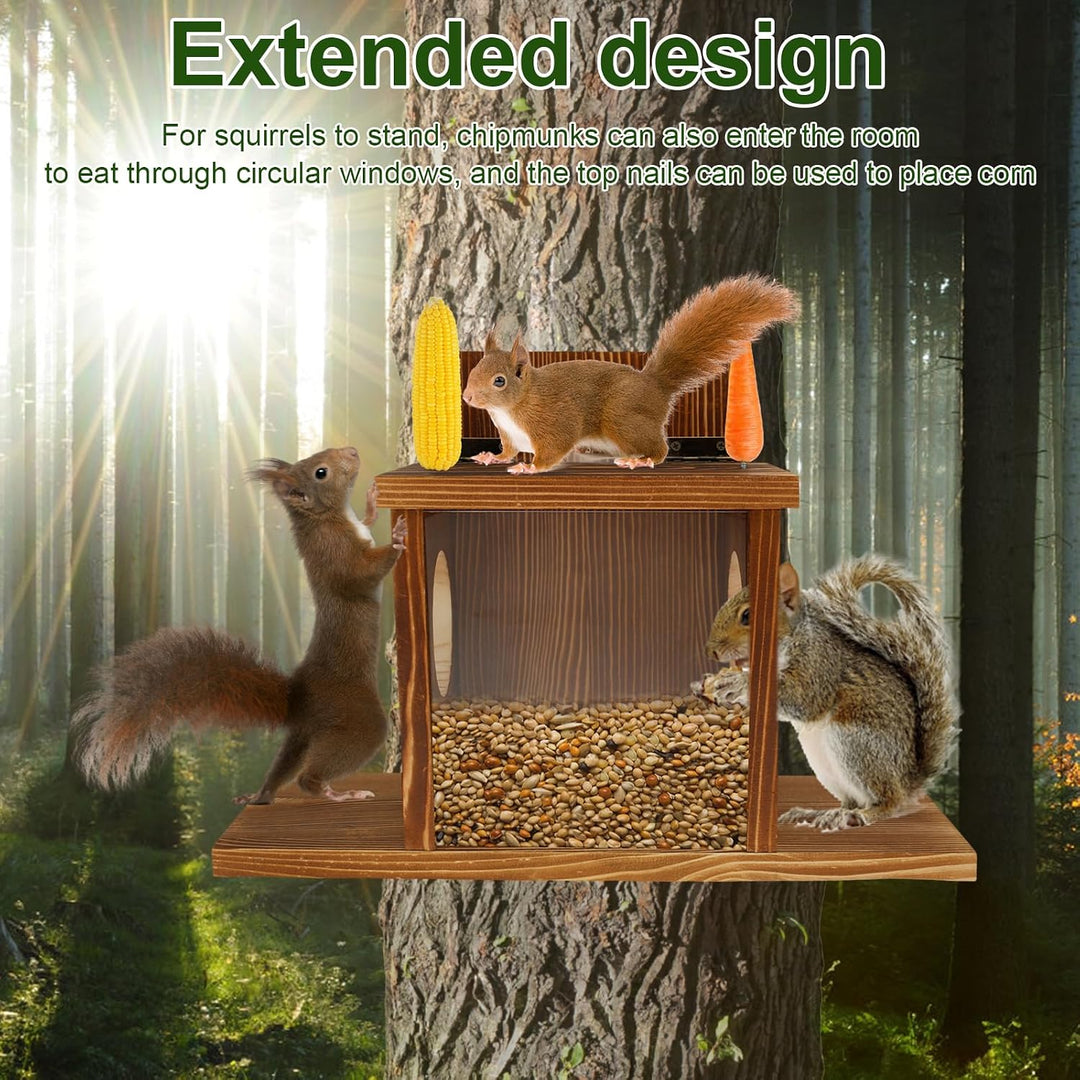 Eichhörnchen Futterhaus Wetterfes mit Quadratisches Transparentes Fenster | Holz Eichhörnchenhaus Ei