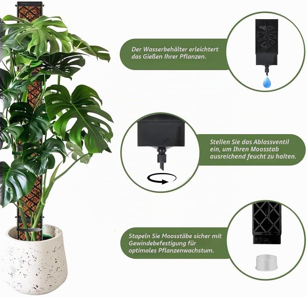 6pcs Moosstab für Monstera Rankhilfe, Selbstbewässerung Moosstab,mit Giesshilfe und Kabelbinder, Pfl