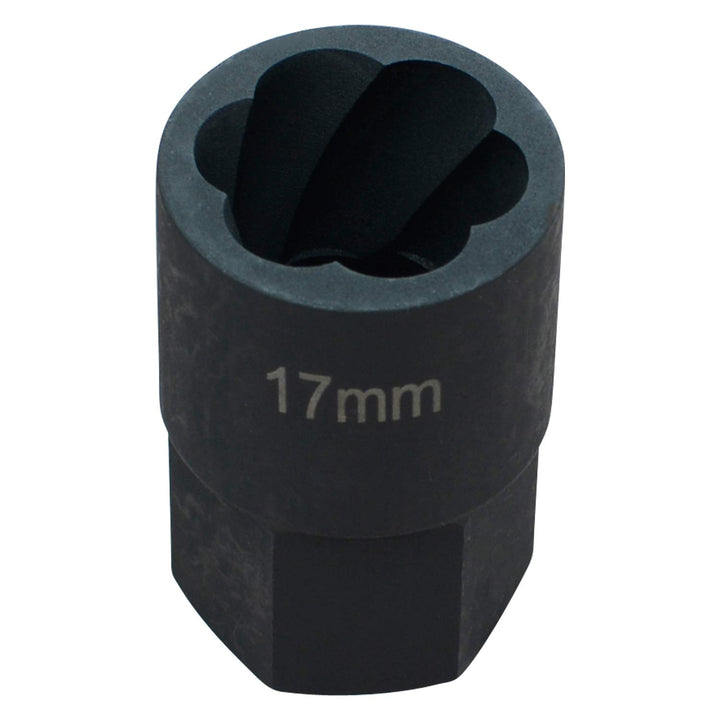 Hesselink Schraubenausdreher Hesselink SN-17 I Spezial-Steckschlüssel-Einsatz/Schraubenausdreher I (