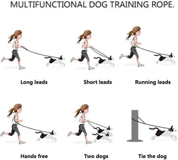 Hundegeschirr-Set, mittelgrosse Hunde, Haustiergeschirr, Halsband und Leine, Hundegeschirr mit Leine