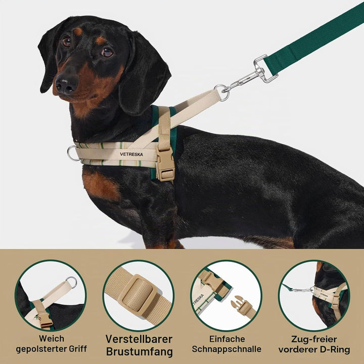 VETRESKA Hundegeschirr und Leine, Easy Walk Hundegeschirr für grosse und mittelgrosse Hunde, kein Zi