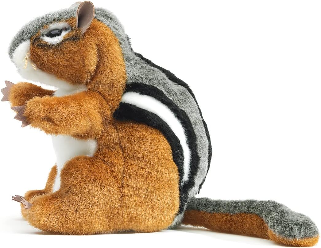 Streifenhörnchen/Chipmunk