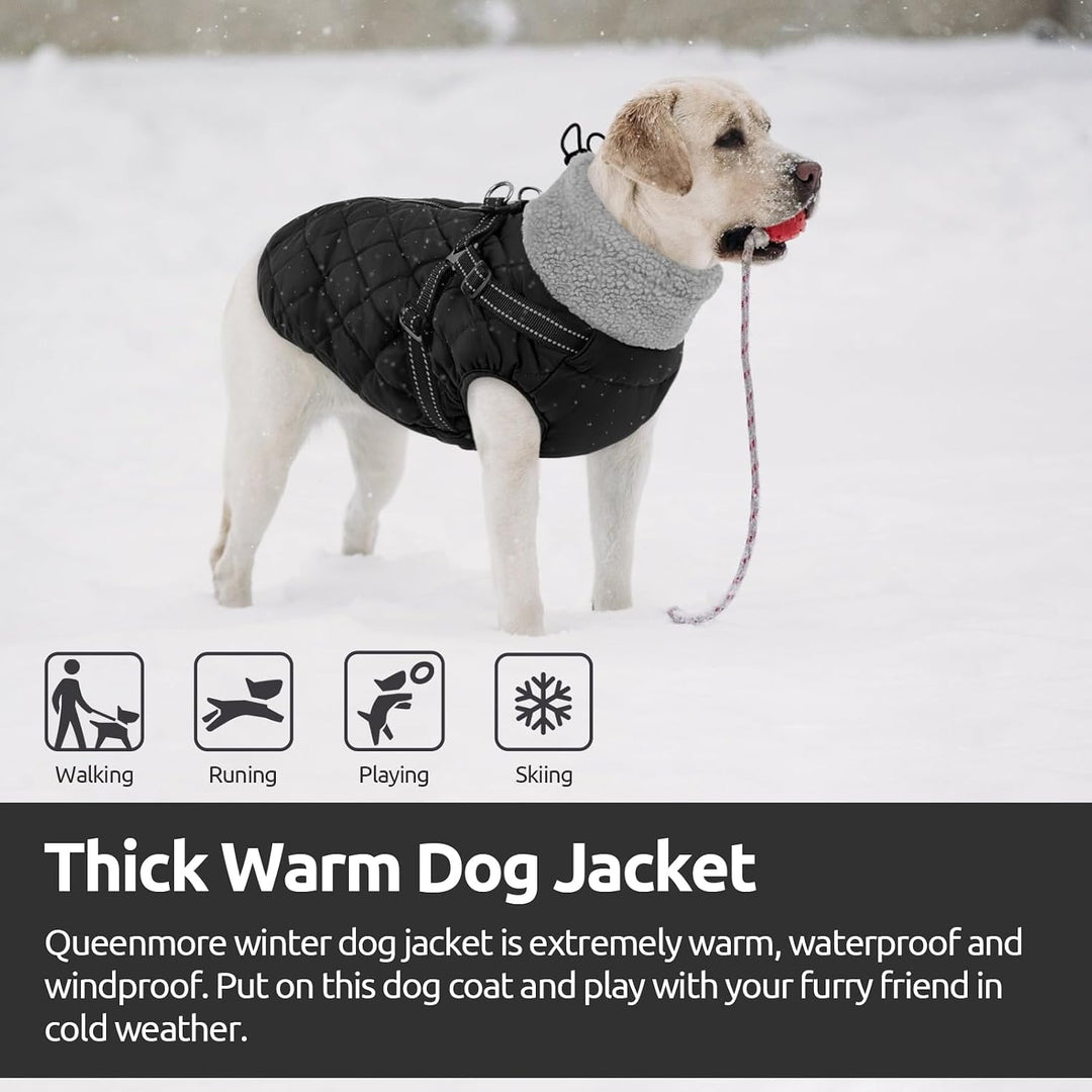 Queenmore Wintermantel Hund mit Geschirr Hundemantel Wasserdicht S schwarz, S schwarz