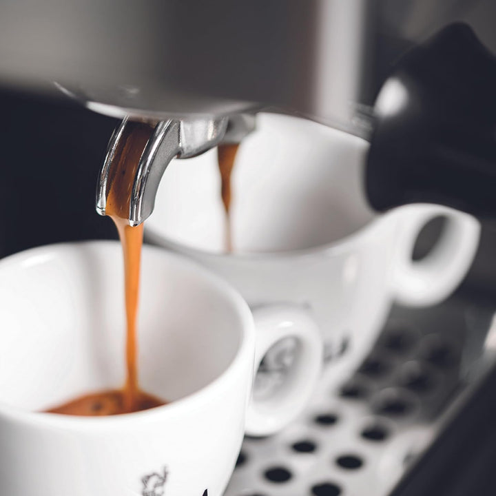 Gaggia Classic Evo INOX RI9481/11 Edelstahl, Edelstahl
