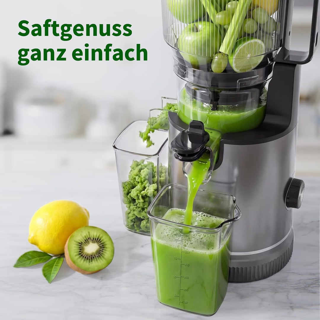SJ-065 Entsafter Slow Juicer, 400W, 152 mm XL-Einfüllschacht Titanium Gray, Titanium Gray