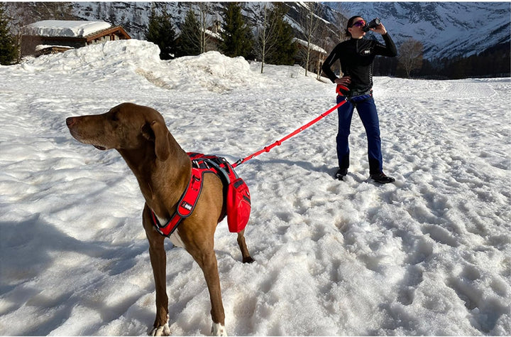 Canicross/Canirando Comfort Trek-Leine Rot
