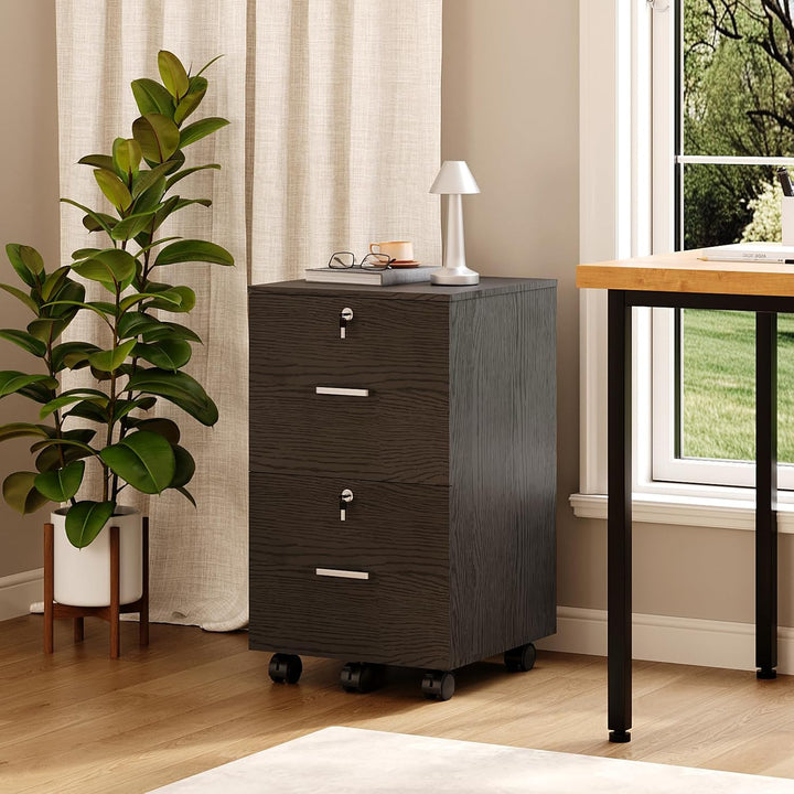 Bonnlo mobiler Aktenschrank 2 Schubladen für Büro,Homeoffice, schwarz,Holz, Schwarz
