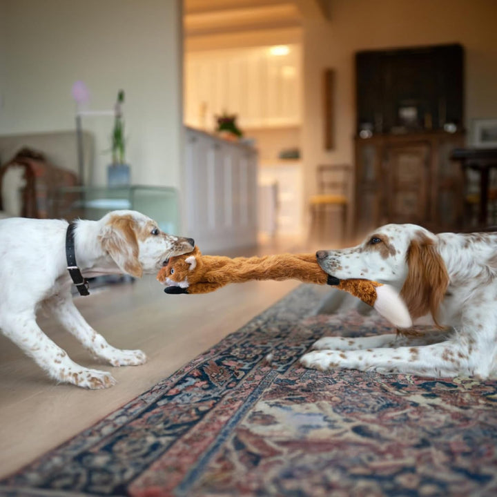 SHARLOVY Quietschendes Hundespielzeug, Keine Füllung, 3 Stück, Plüsch-Hundespielzeug für grosse Hund