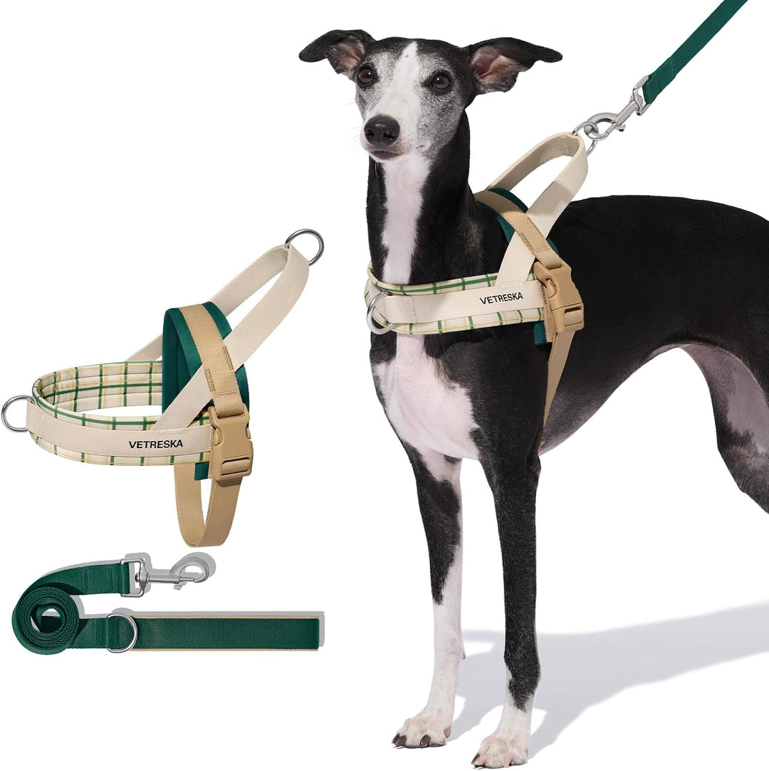 VETRESKA Hundegeschirr und Leine, Easy Walk Hundegeschirr für grosse und mittelgrosse Hunde, kein Zi