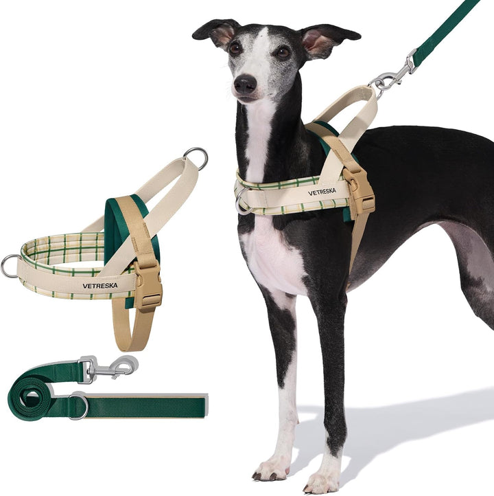 VETRESKA Hundegeschirr und Leine, Easy Walk Hundegeschirr für grosse und mittelgrosse Hunde, kein Zi